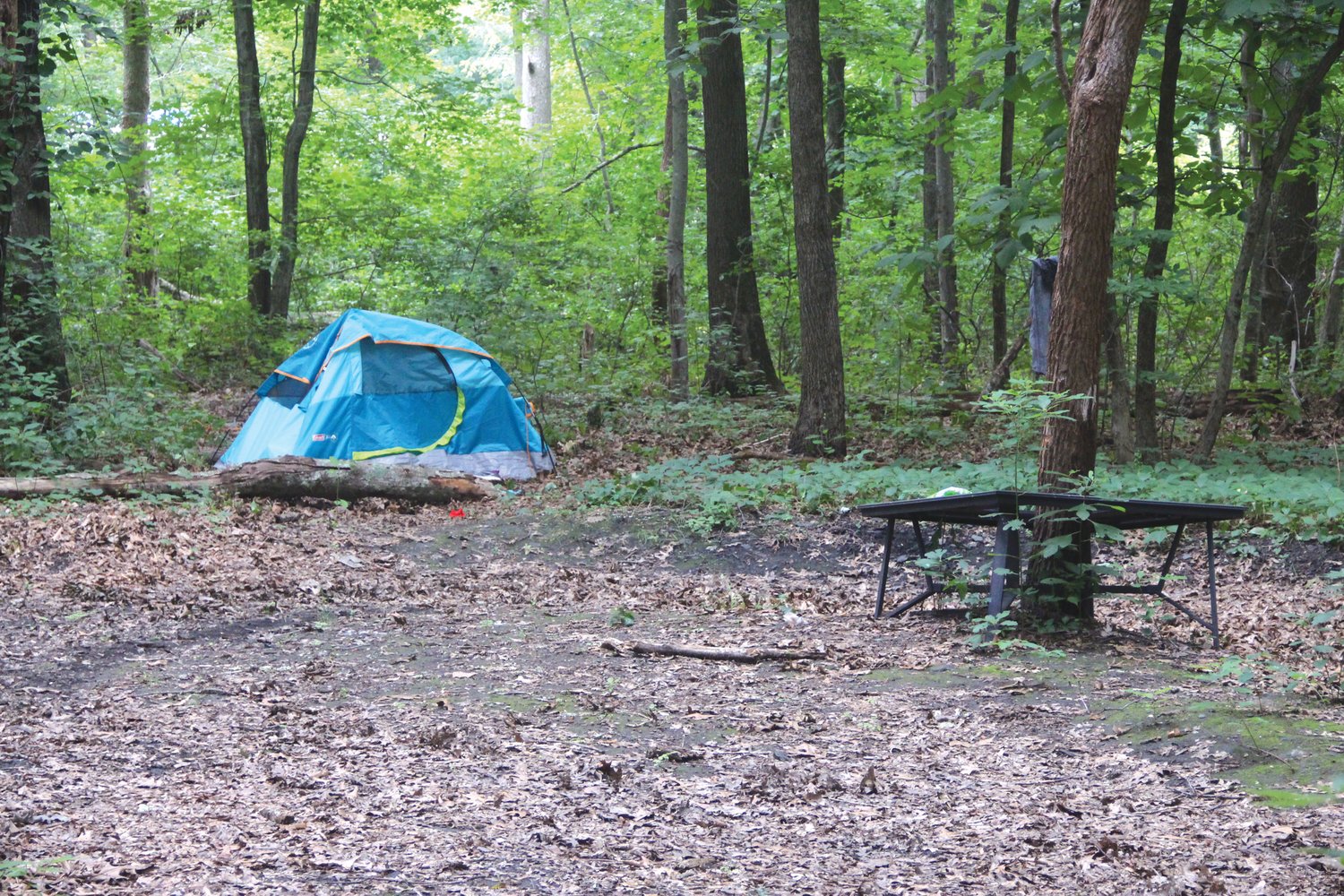 SUPER SIZED: This large tent was photographed in the wooded area off Meadow View last week. It was not there this Monday.